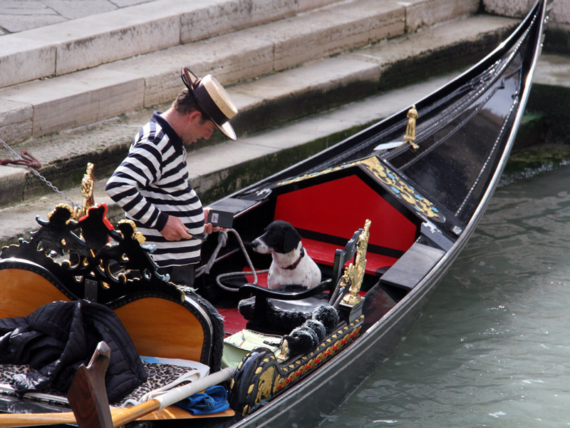 Venise au printemps