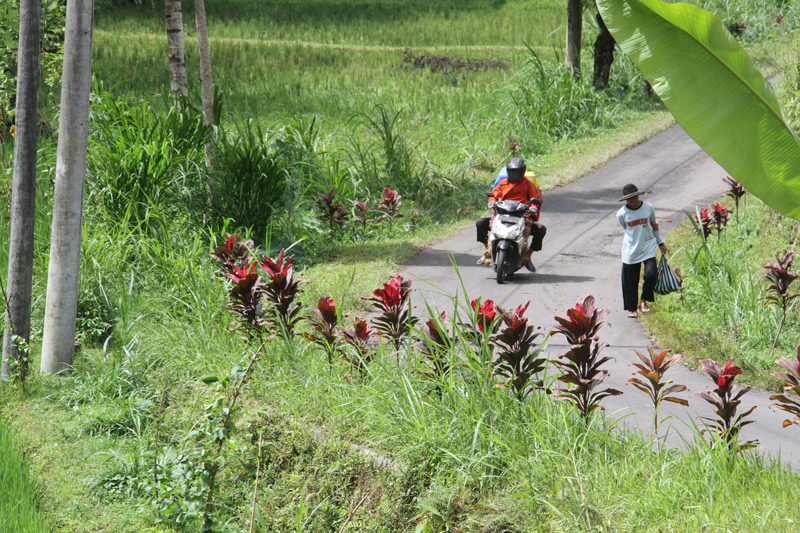 Bali & Lombok en famille